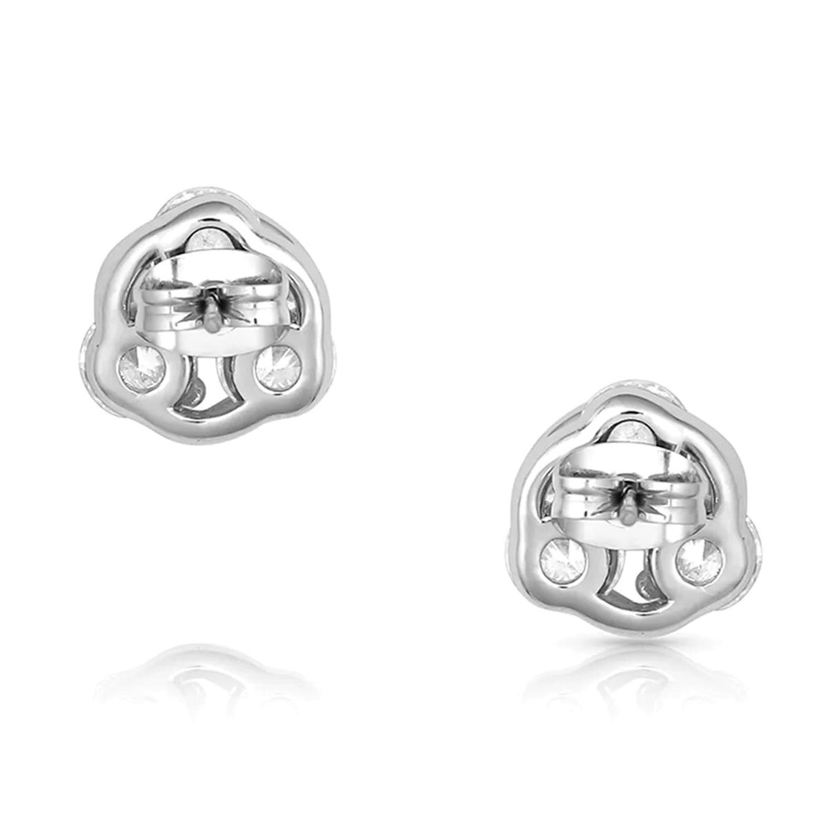 Montana Silversmiths Holding On To Starlight Earrings
