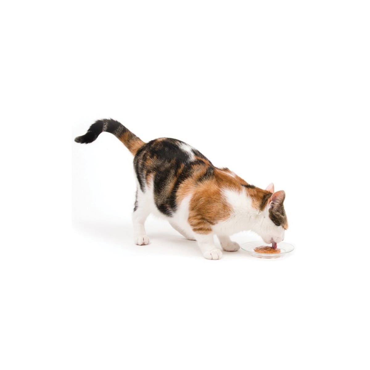 Catit Creamy Cat Treat, Tuna Flavor, 15 g Tube