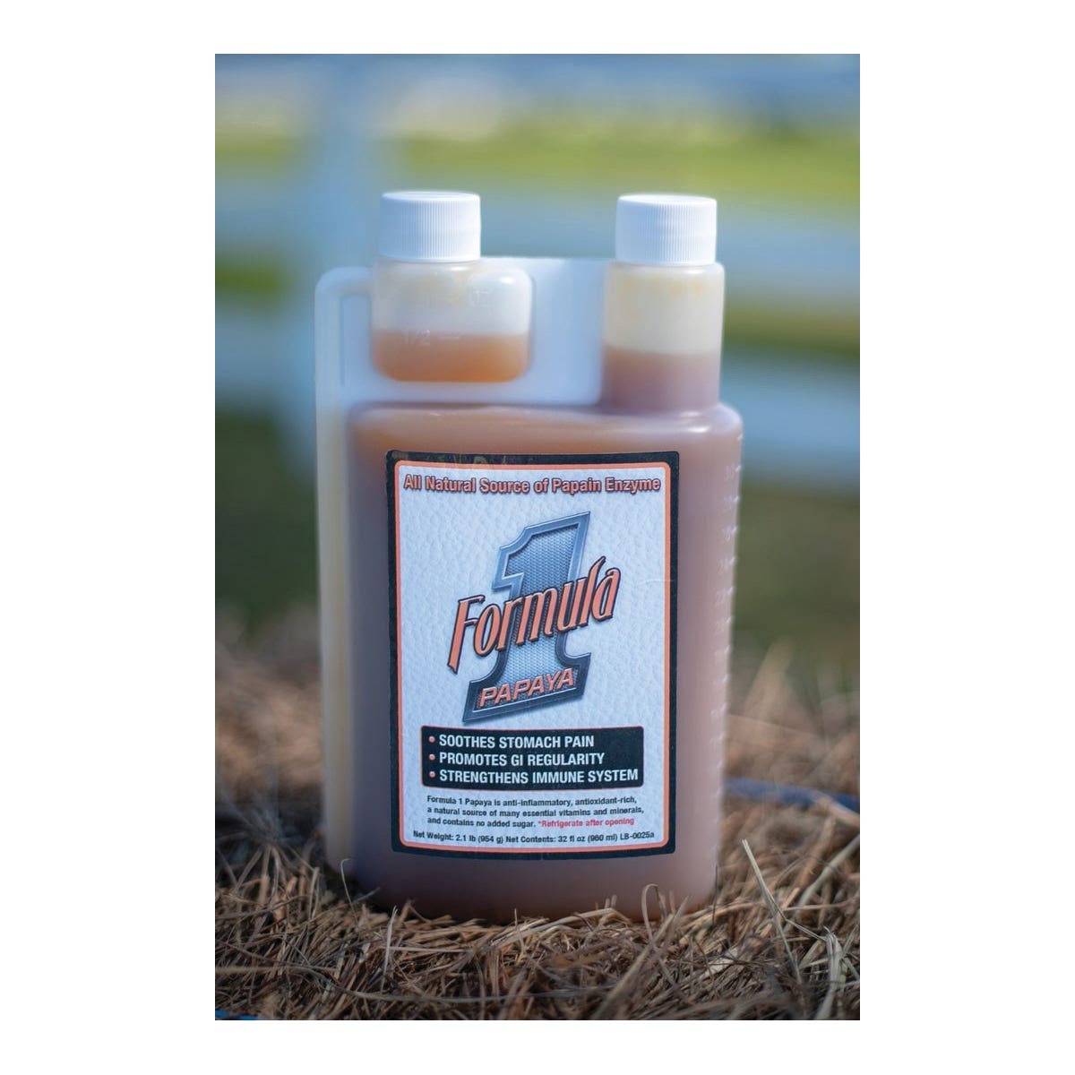Formula 1 NONI Stomach Soother 32 oz