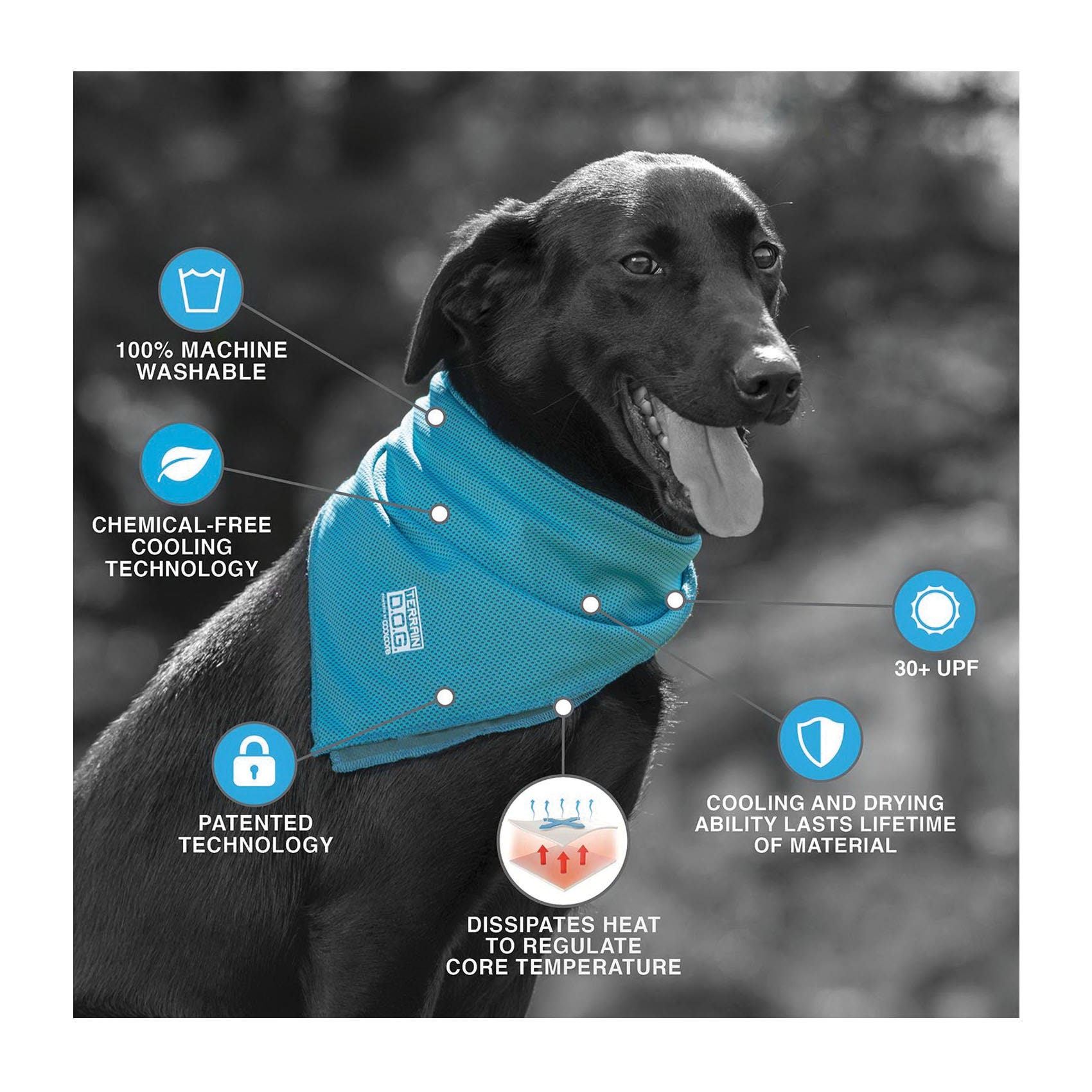 Terrain Dog Cooling Bandana, 24 x 24 in