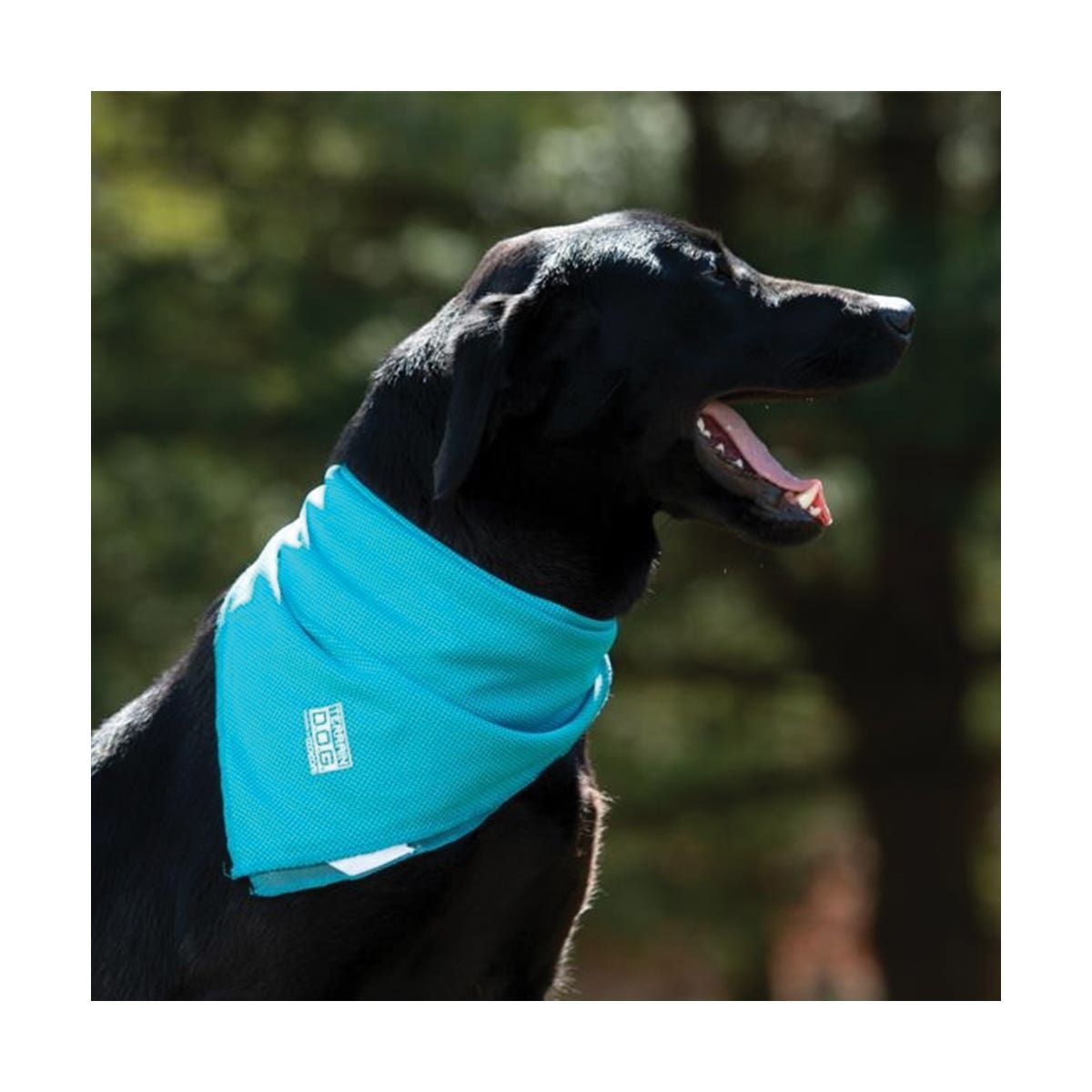 Terrain Dog Cooling Bandana, 24 x 24 in