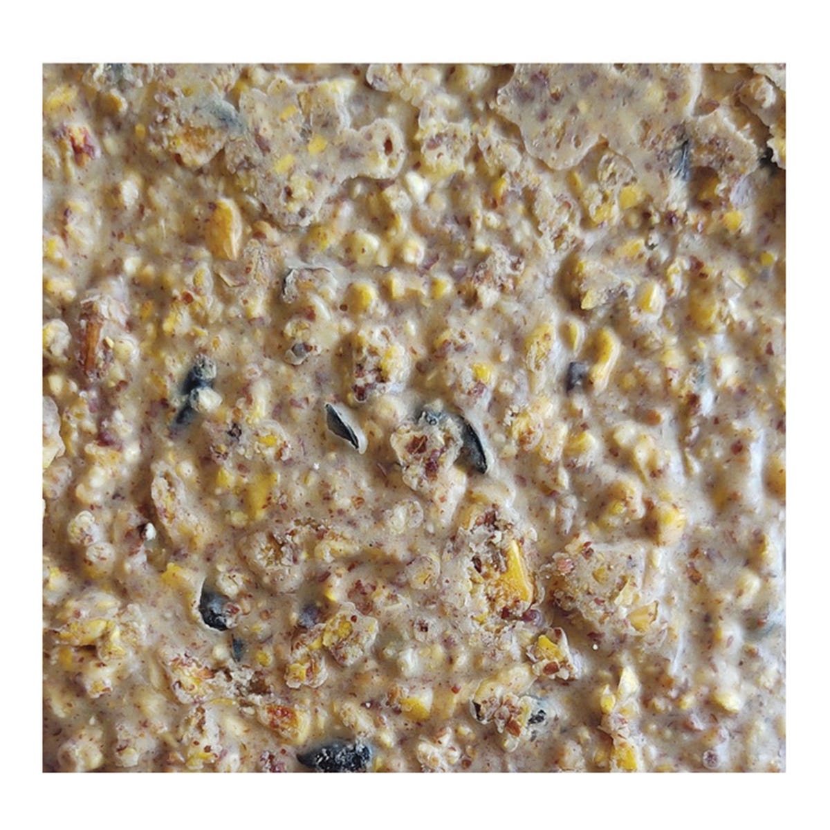 Heath Wild Bird Seed, Crafted Suet, Cake, 11.75 oz, Pack, 12/PK