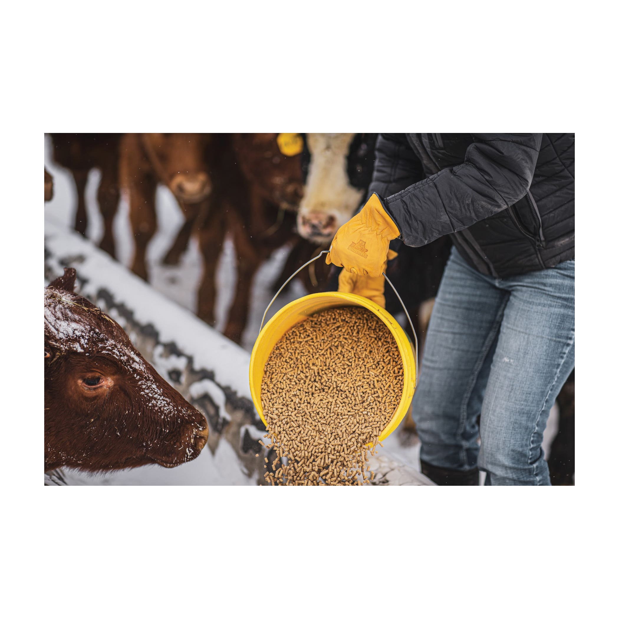 Bear Knuckles D373-S Driver Gloves, S, Wing Thumb, Shirred Elastic Cuff, Cowhide Leather, Lined