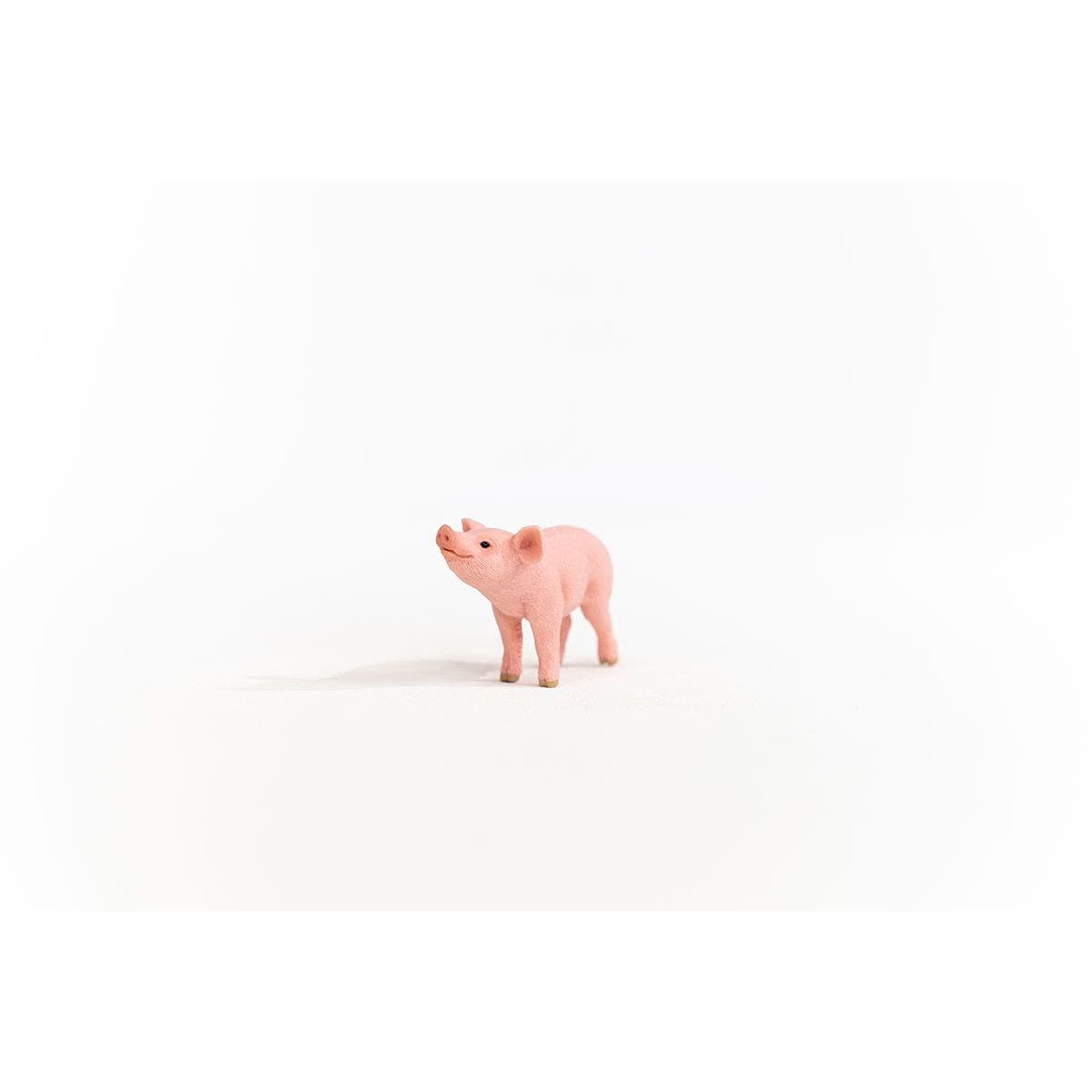 Schleich-S Farm World Animal Toy, Piglet