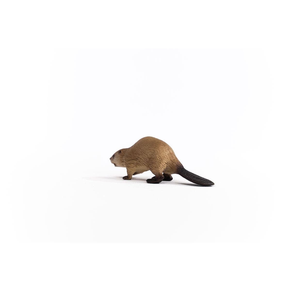 Schleich-S Wild Life Animal Toy, Beaver