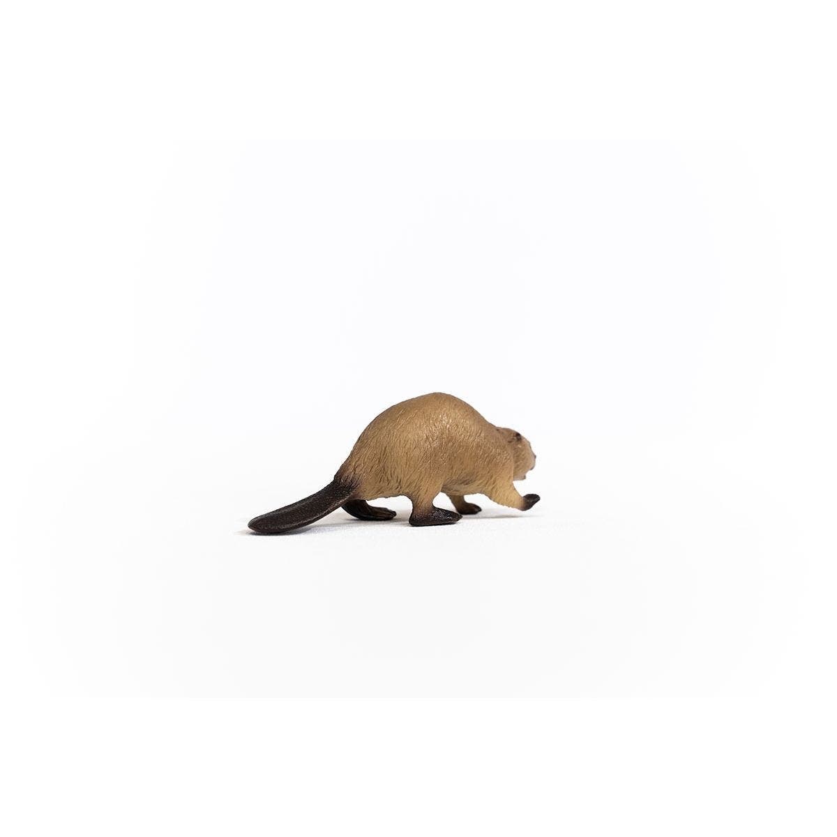 Schleich-S Wild Life Animal Toy, Beaver