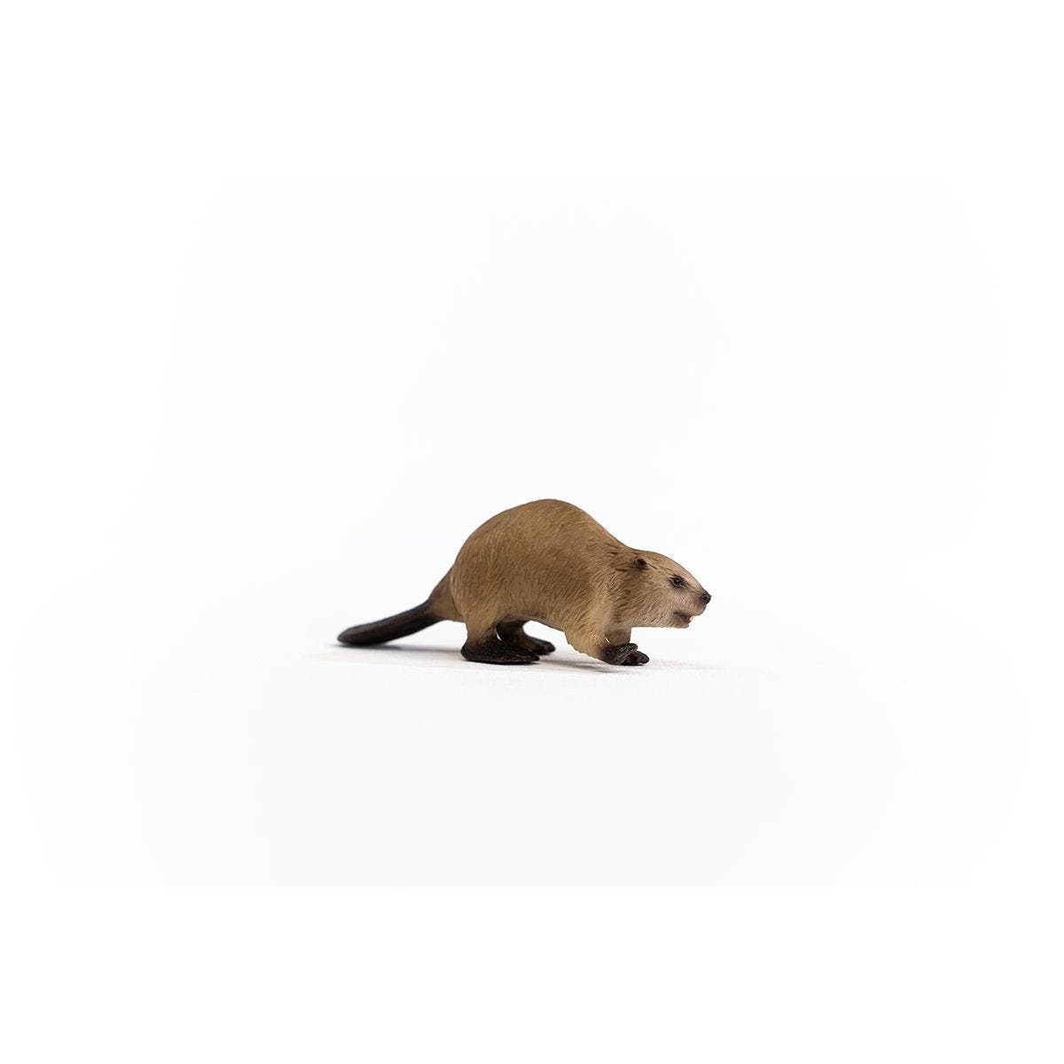 Schleich-S Wild Life Animal Toy, Beaver