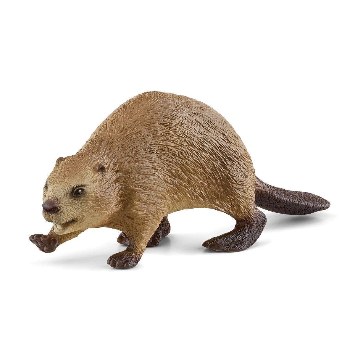 Schleich-S Wild Life Animal Toy, Beaver
