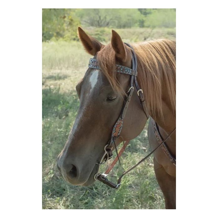 Circle Y Bronco Blue Series Browband Headstall, Texas Flower, Chocolate