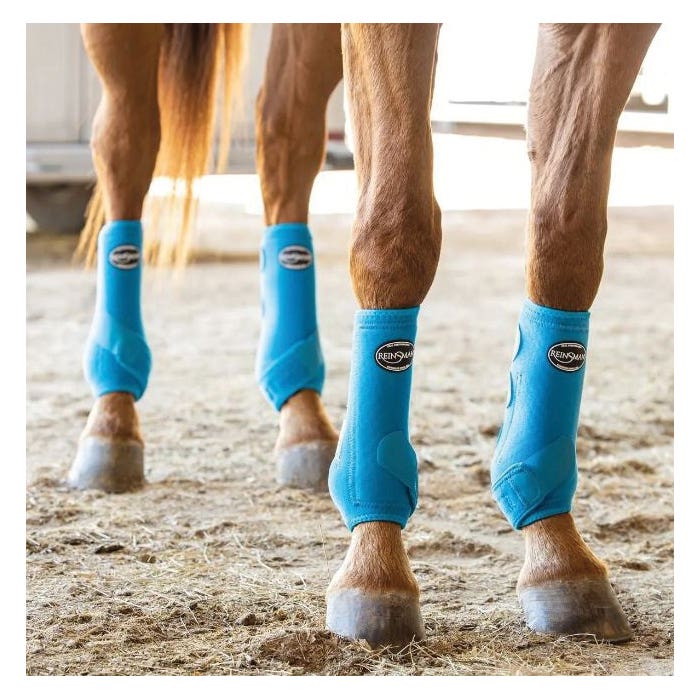 Reinsman Apex Series 9126-MD-RB Sport Horse Boots, M, Royal Blue