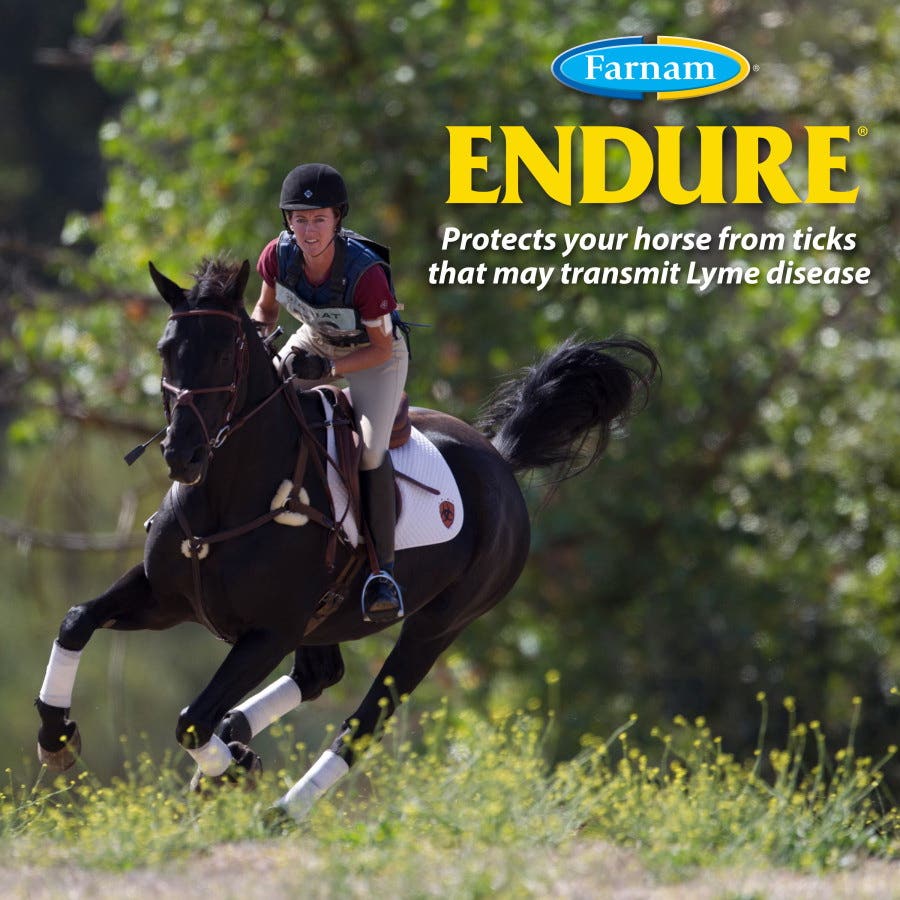 Farnam Endure 100526253 Fly Spray, Liquid, 128 oz Jug