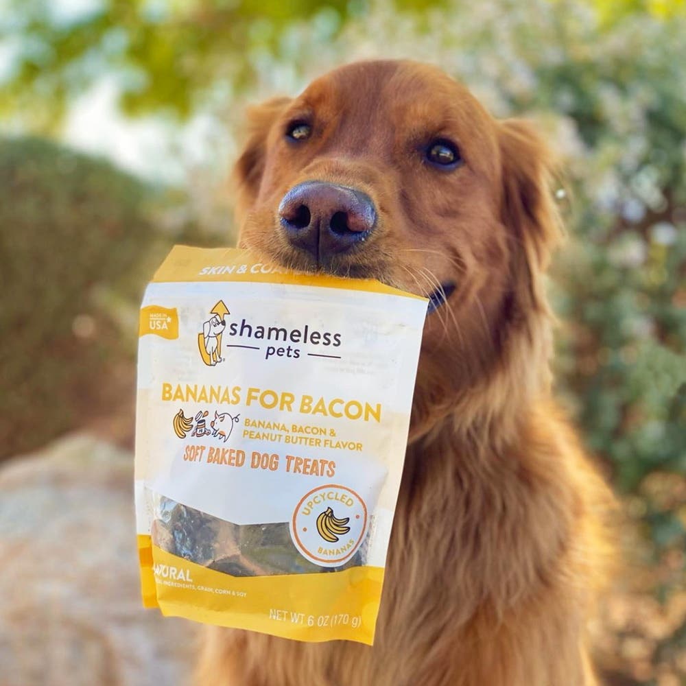 Shameless Pets SHP89702 Soft Baked Dog Treat, All Breed, Banana, Bacon Flavor, 6 oz Bag