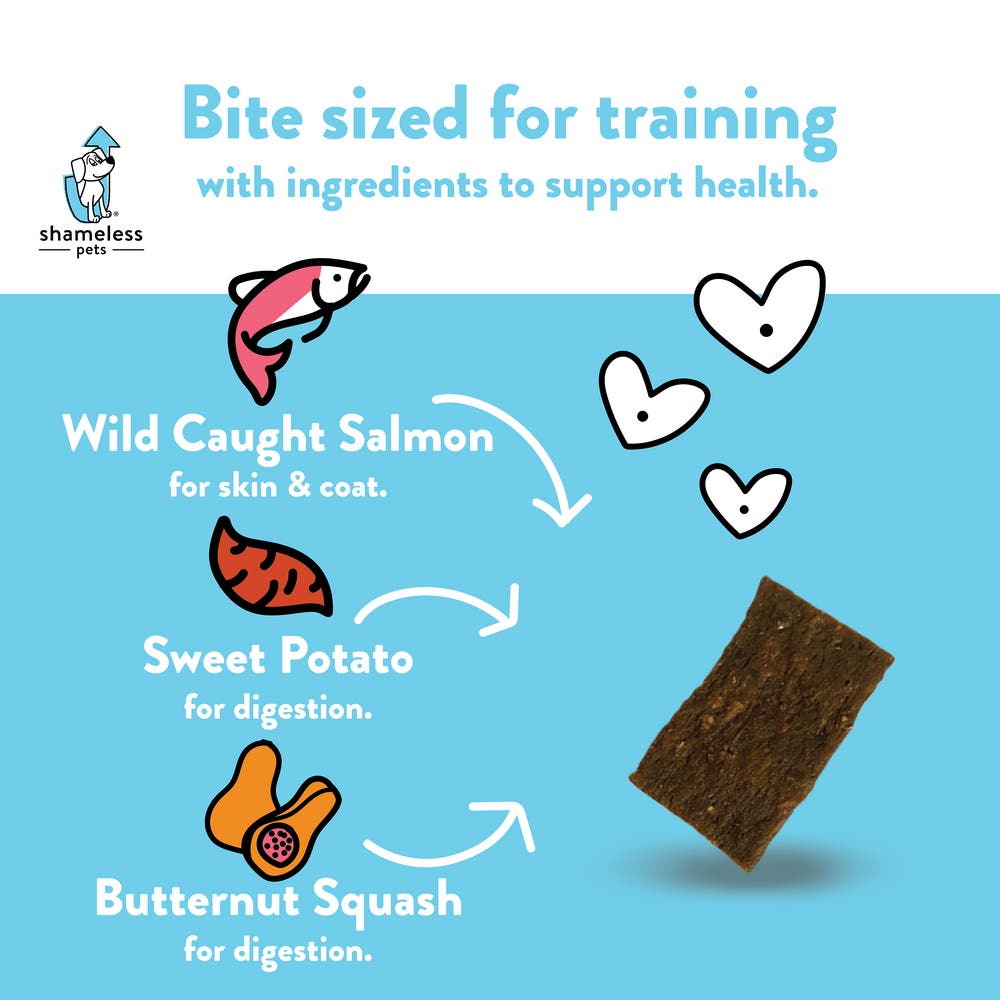 Shameless Pets SHP89721 Jerky Bite Sized Dog Treat, All Breed, Salmon, Butternut Squash Flavor, 5 oz Bag