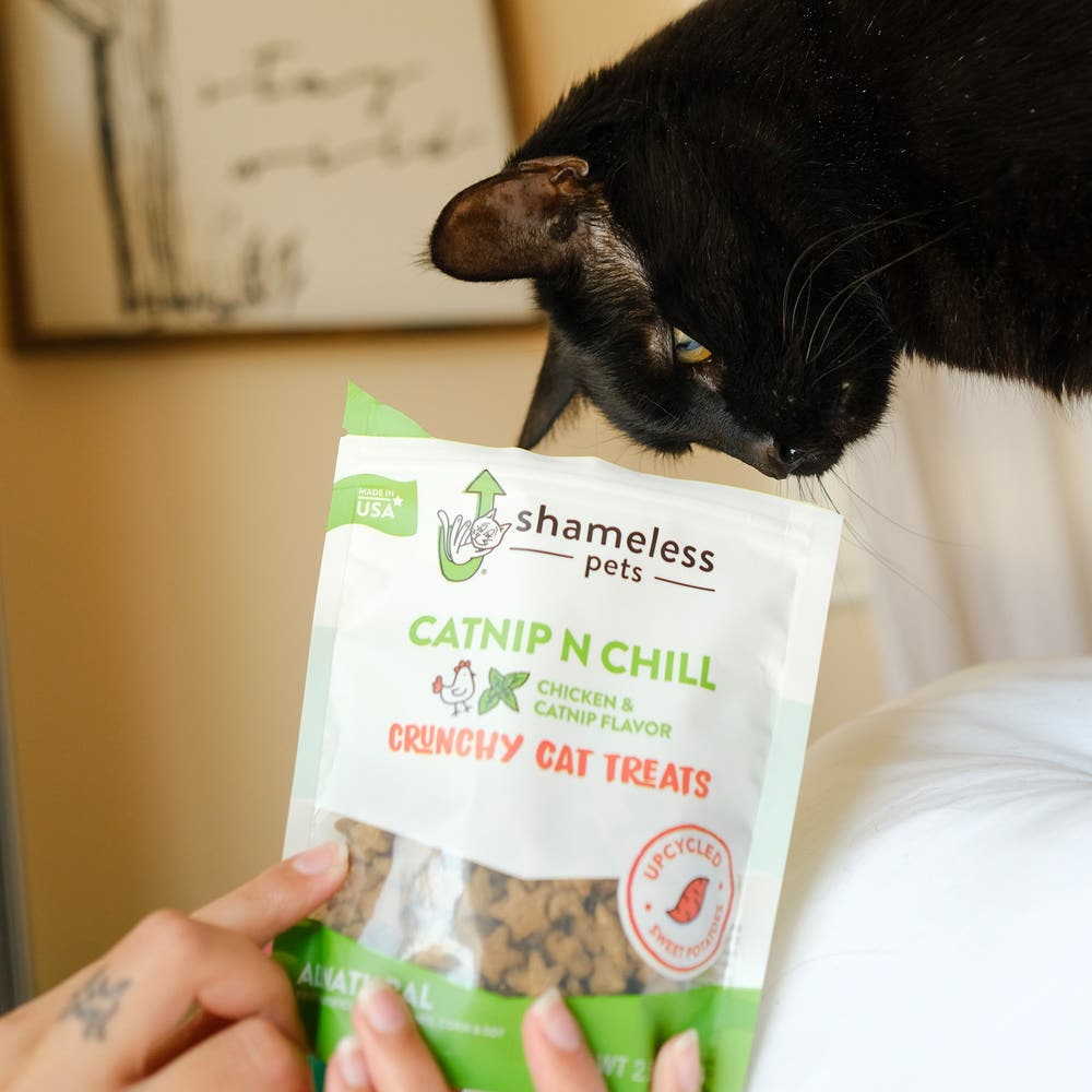 Shameless Pets SHP89764 Cat Treat, Catnip, Chicken Flavor, 2.5 oz