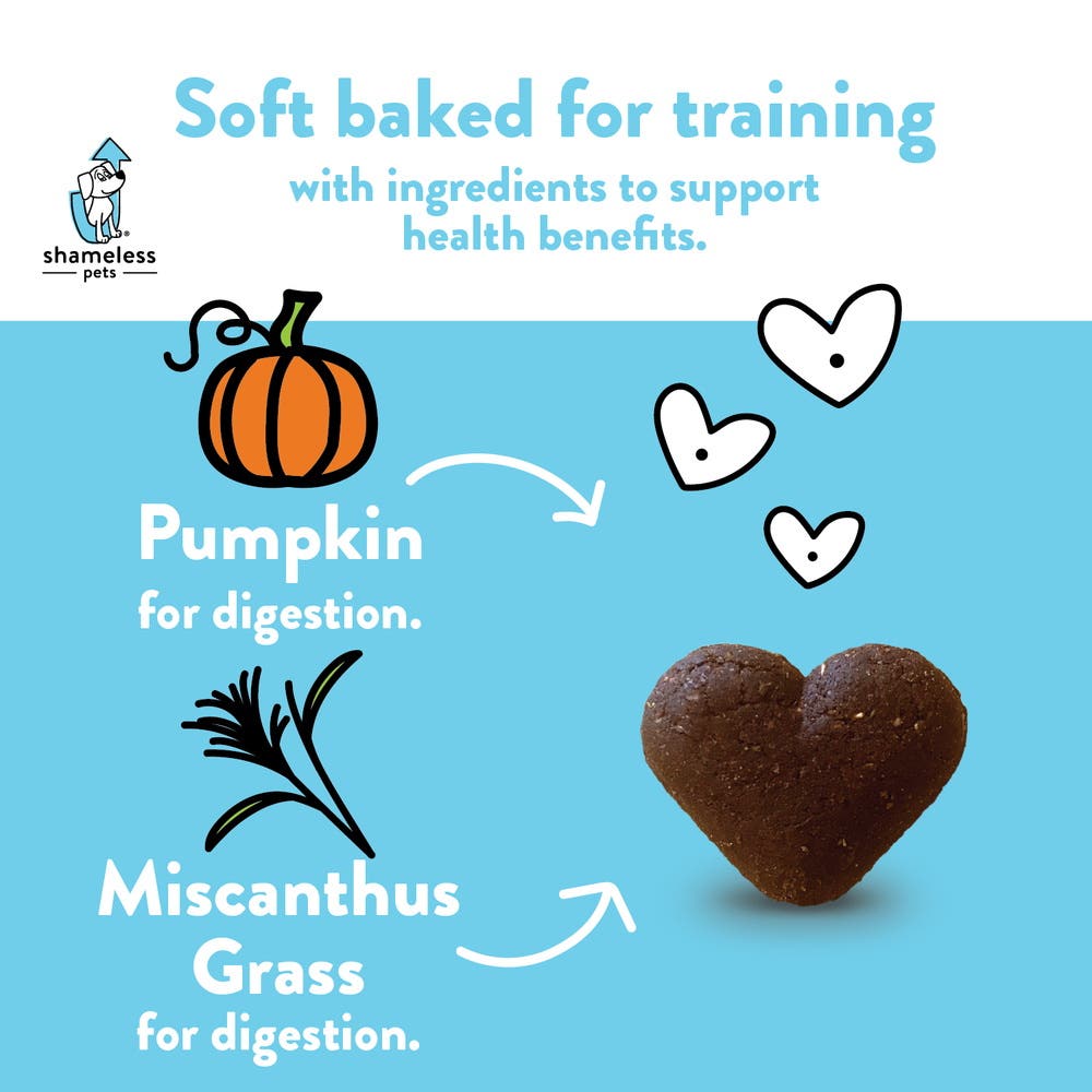 Shameless Pets SHP00133 Soft Baked Dog Treat, All Breed, Pumpkin, Peanut Butter Flavor, 6 oz Bag