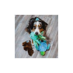 Spunky Pup Clean Earth 7208 Dog Toy, L, Squeaker Toy, Octopus, Fabric/Plastic/Plush