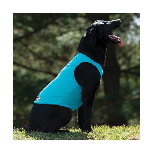 Terrain Dog Cooling Vest, L, Fabric, Turquoise