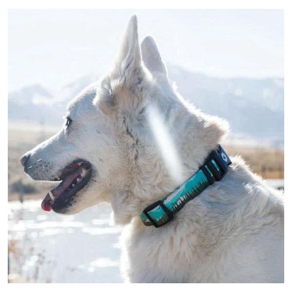 Wolfgang Dog Collar, 18 to 26 in L Collar, 1 in W Collar, Polyester