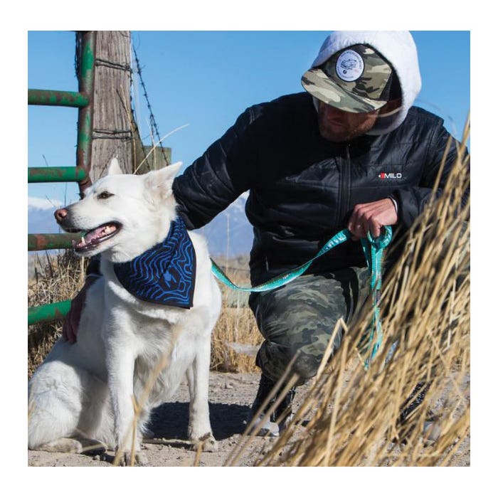 Wolfgang Dog Leash, 6 ft L, 1 in W, Polyester Line, Greatescape, Fastening Method: Snap Hook