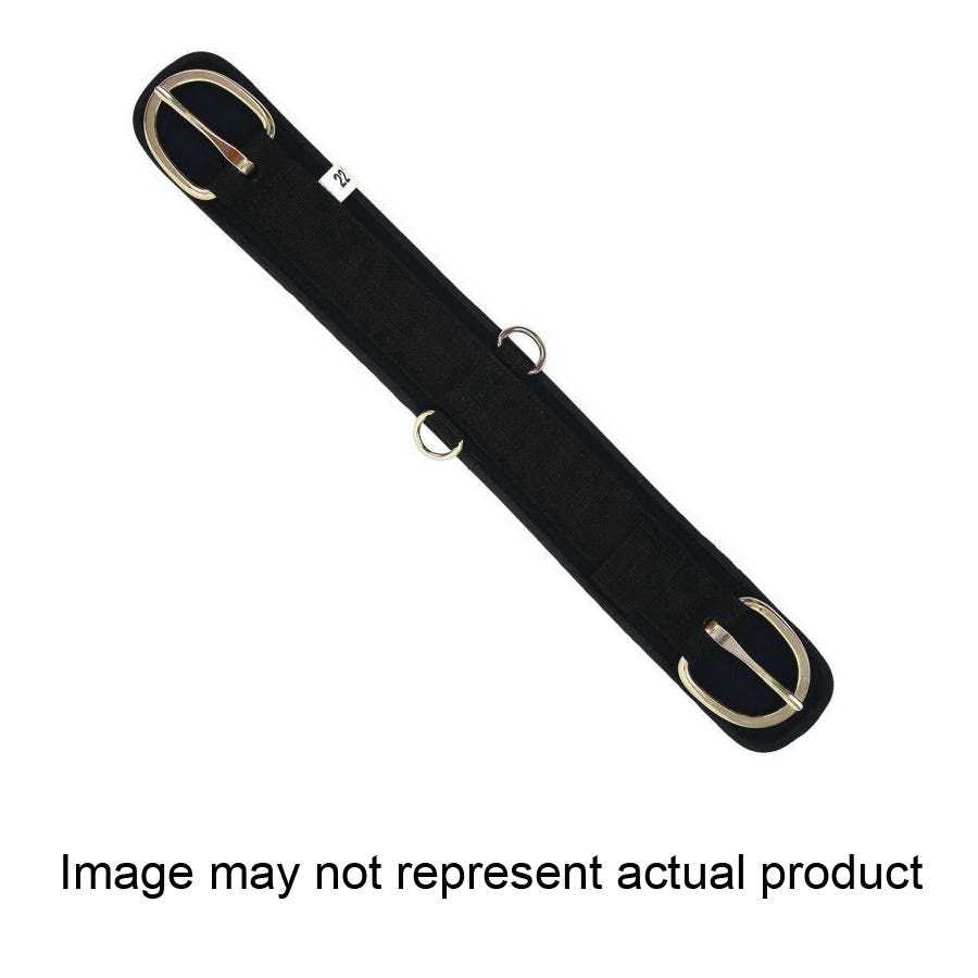Reinsman Cinch, Pony, 20 in L, Nylon/PVC Neoprene, Black