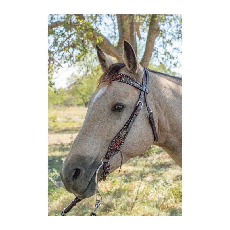 Circle Y Browband Headstall, Horse, Dark Flash Arizona Flower, Leather, Chocolate