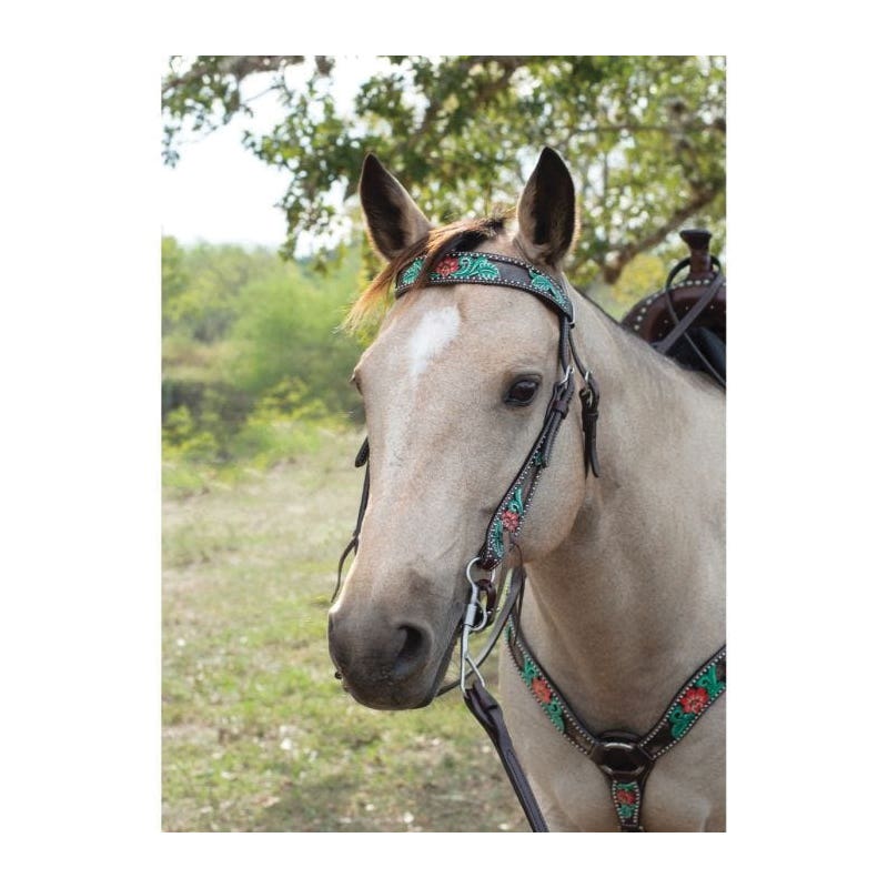 Circle Y Browband Headstall, Horse, Cactus Flower Filigree, Leather