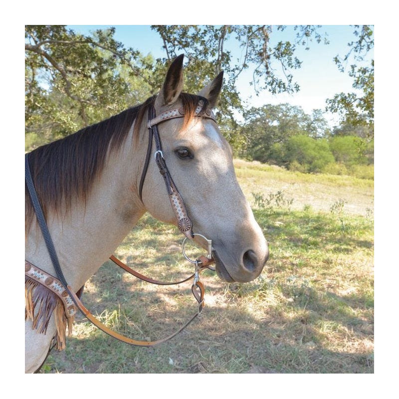 Circle Y Browband Headstall, Horse, Desert Racer, Leather, Chocolate