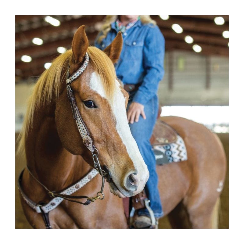 Circle Y One Ear Headstall, Horse, Dakota Pinwheel, Leather, Chocolate