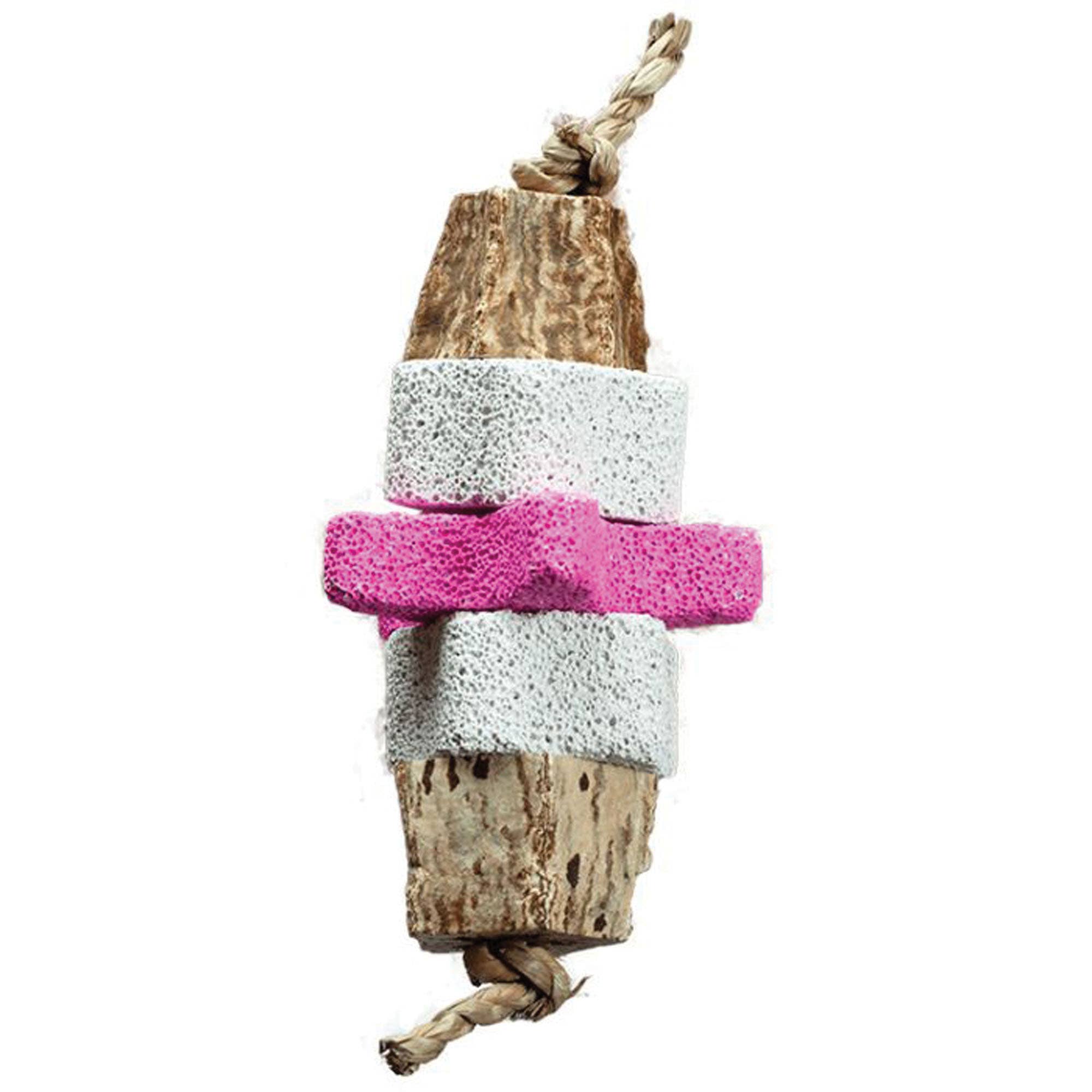 a&e Star Bright Pumice Animal Toy One?Size