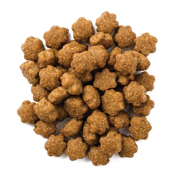 fruitables 1030609 Cat Treat, Pumpkin, Tuna Flavor, 2.5 oz