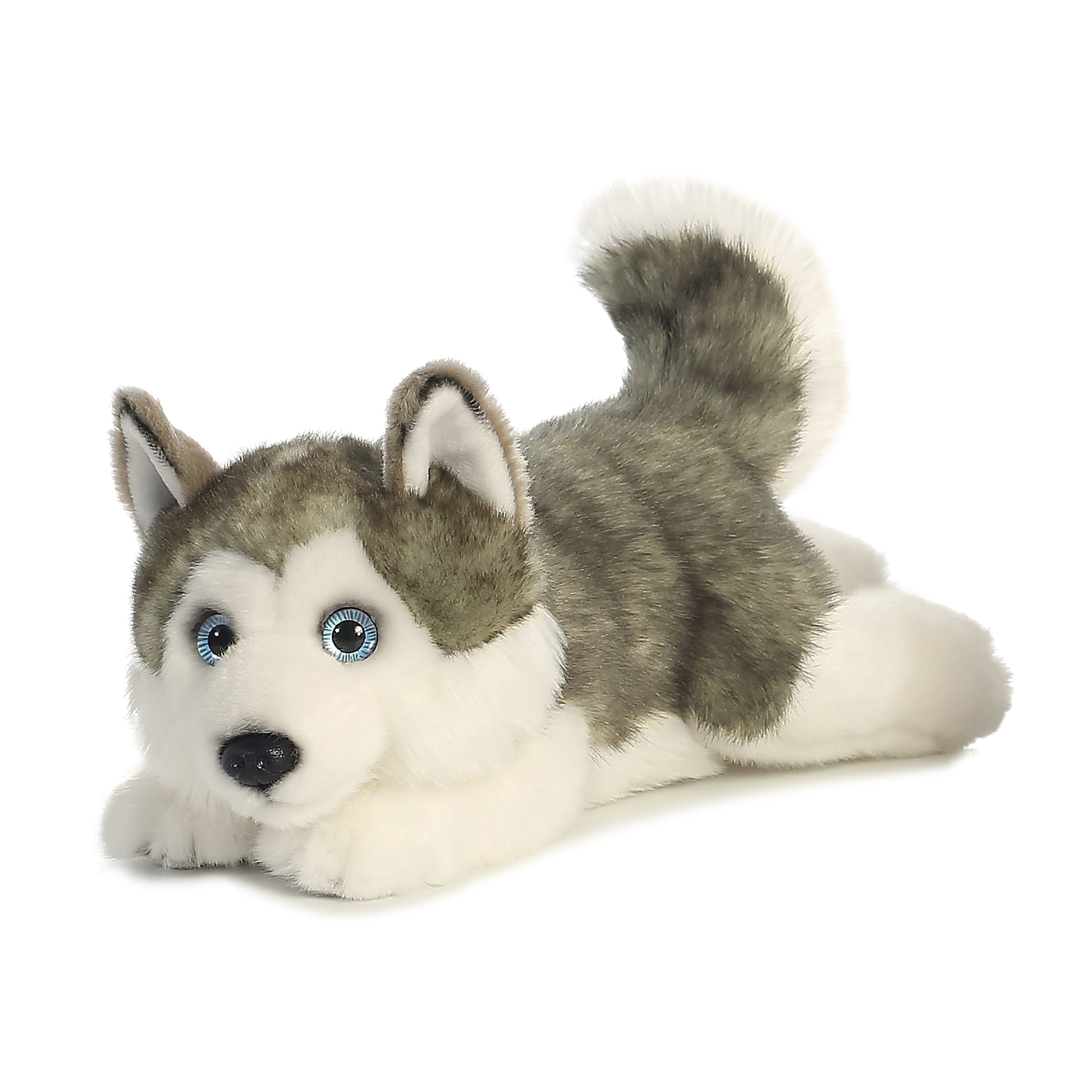 Aurora Miyoni Cuddly Series Husky