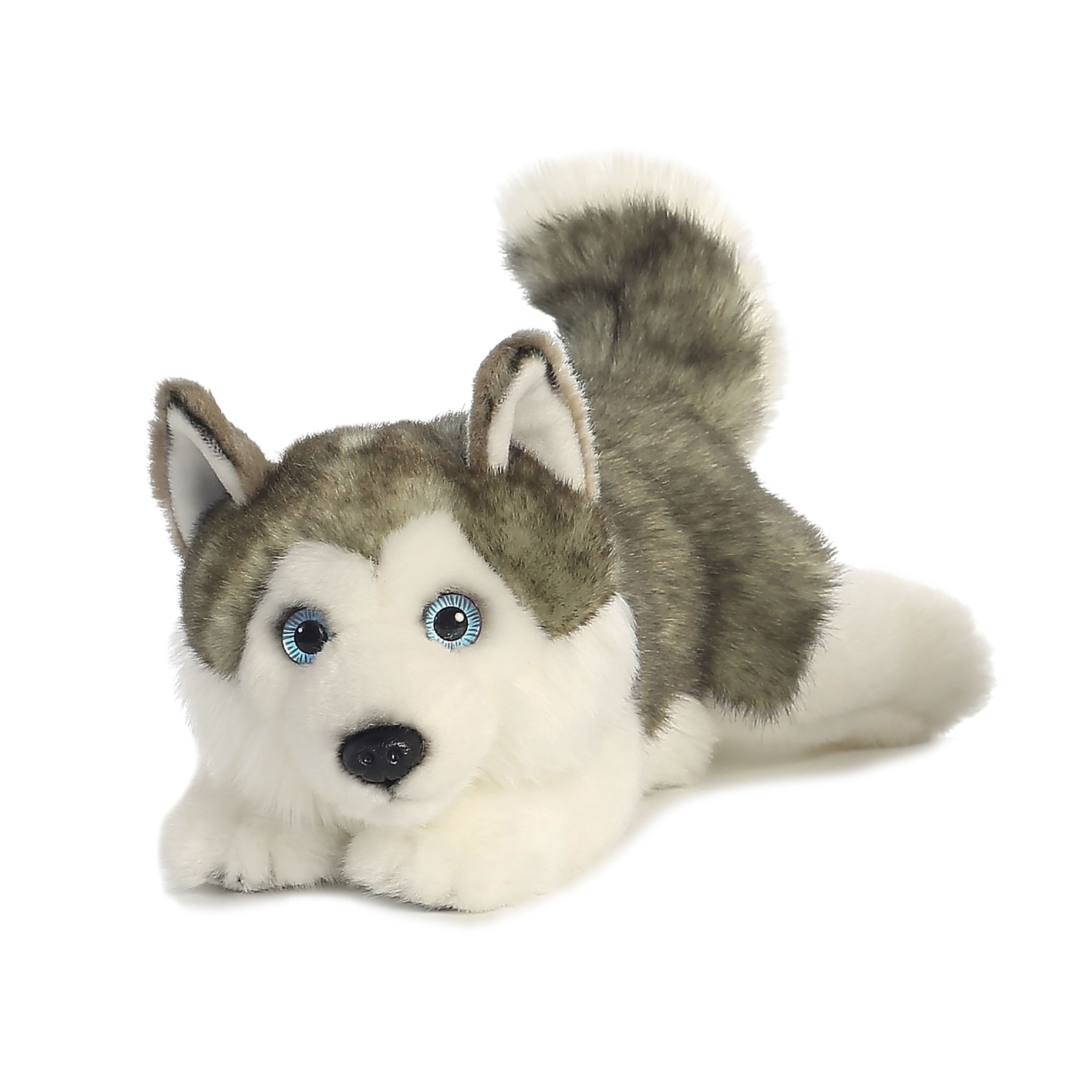 Aurora Miyoni Cuddly Series Husky