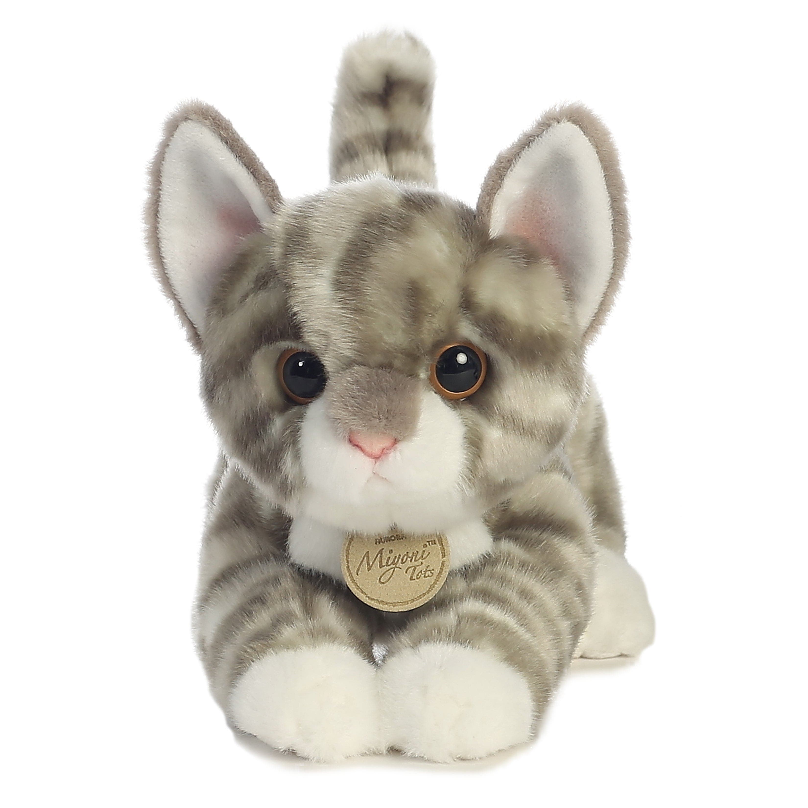 Aurora Miyoni Tots Series Grey Tabby Kitten