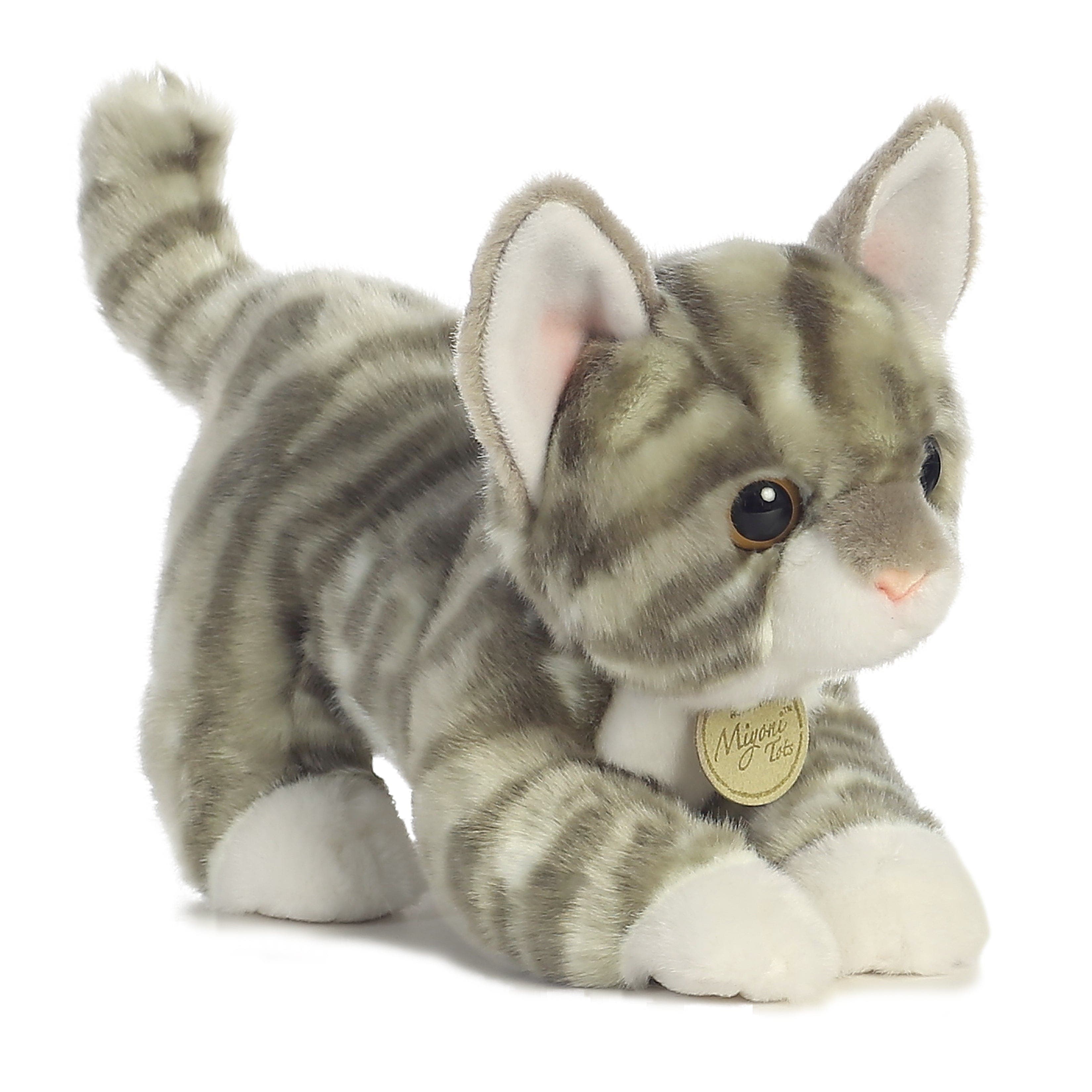 Aurora Miyoni Tots Series Grey Tabby Kitten
