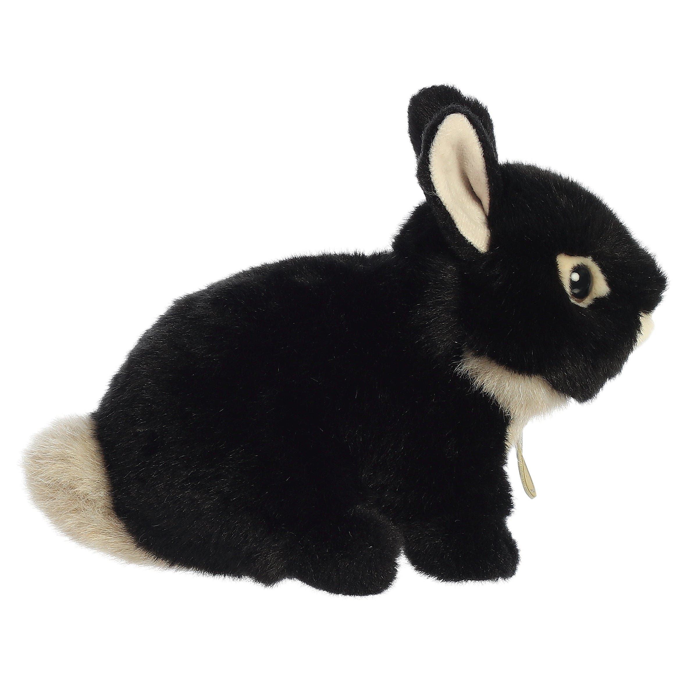 Aurora Miyoni Tots Series Netherland Dwarf Bunny