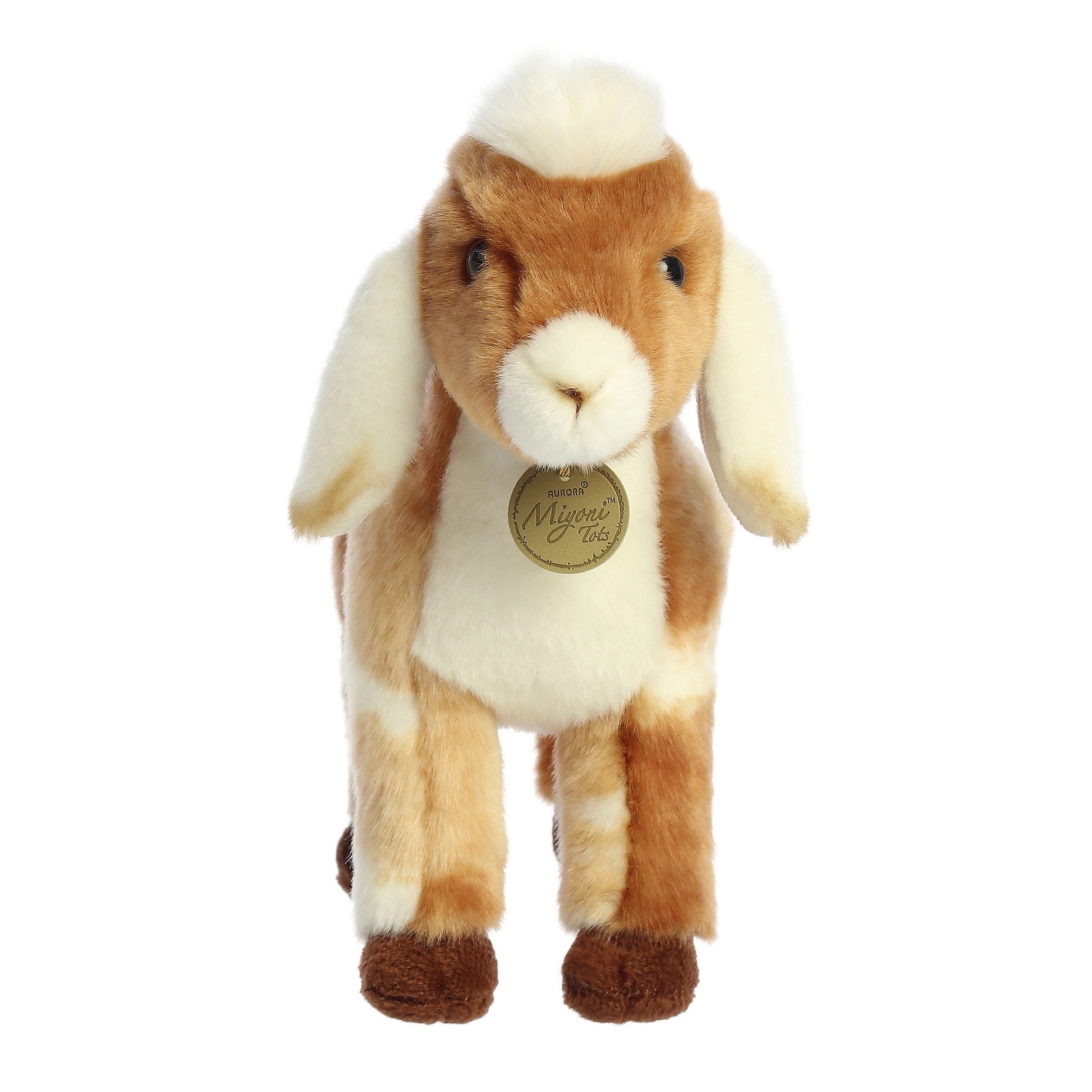 Aurora Miyoni Series Nubian Goat Kid