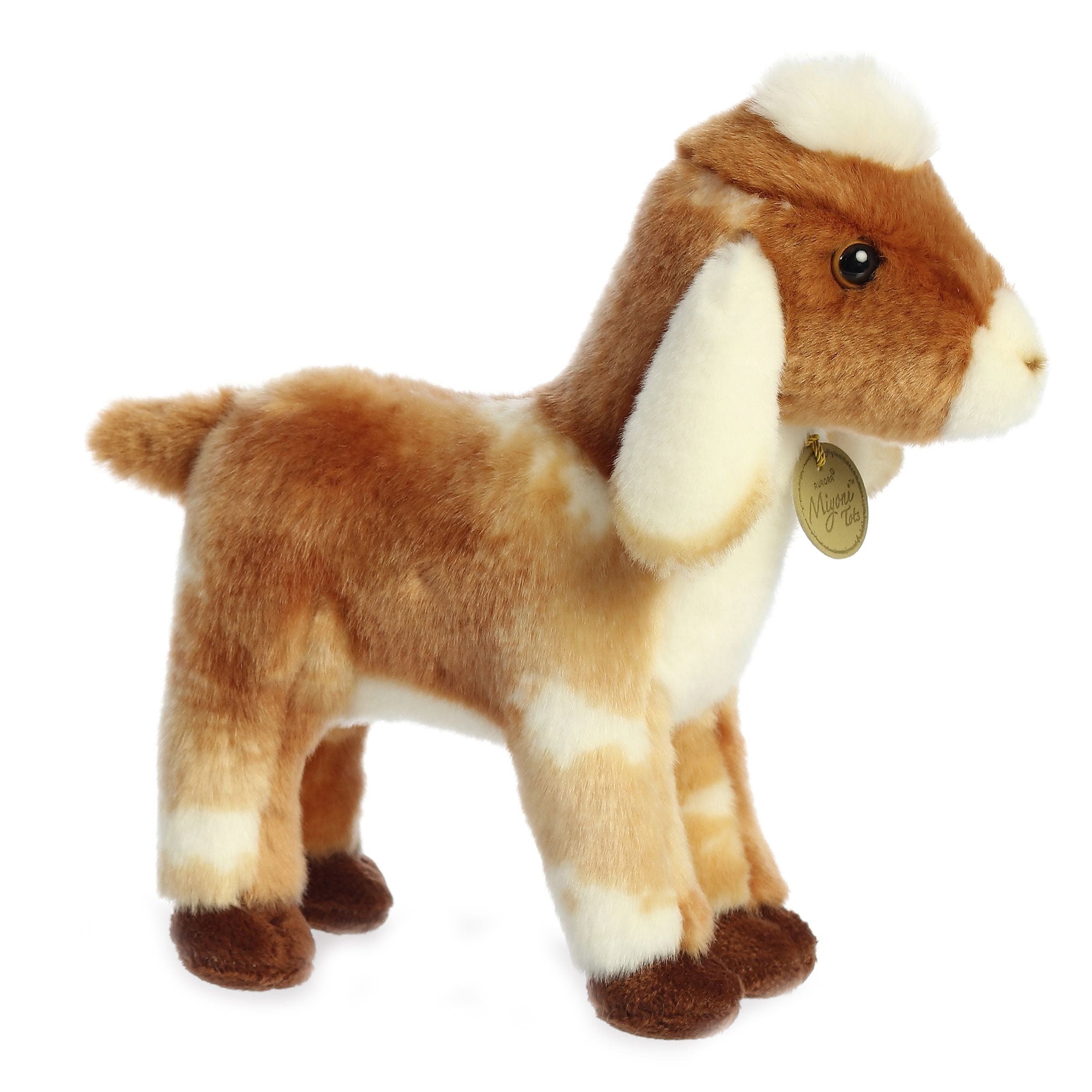 Aurora Miyoni Series Nubian Goat Kid