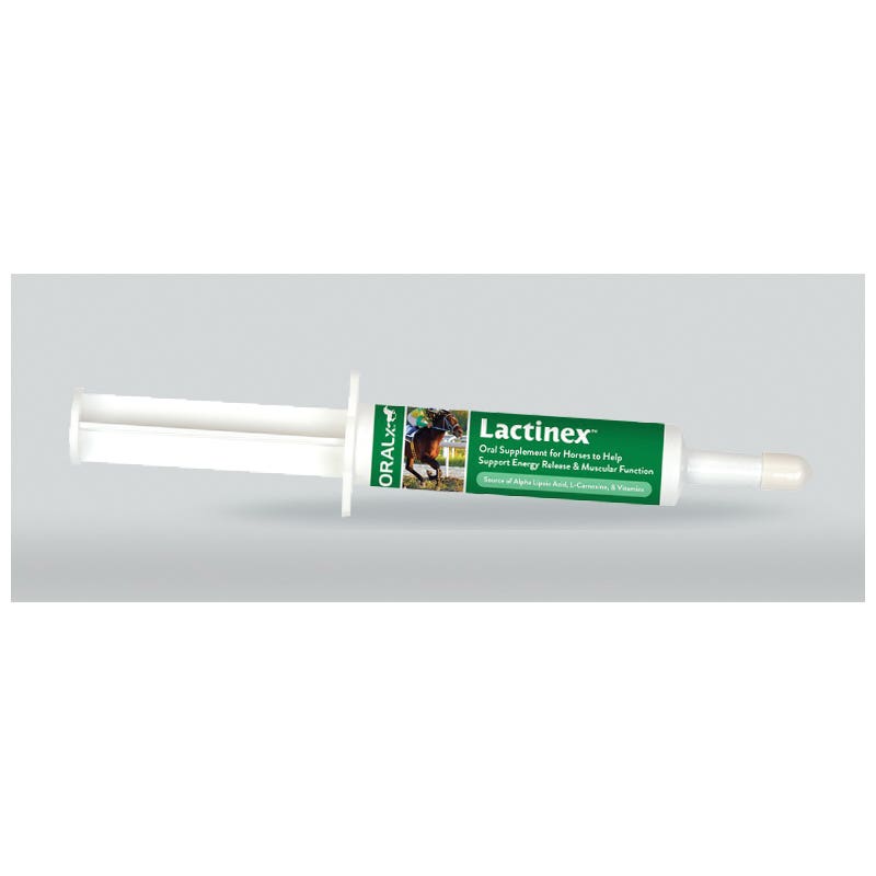 Oralx X-Factor 70115 Horse Supplement, 34 g