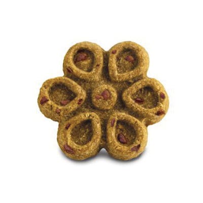 fruitables Biggies Series 1030778 Dog Treat, Crunchy, Apple, Crispy Bacon Flavor, 16 oz Bag