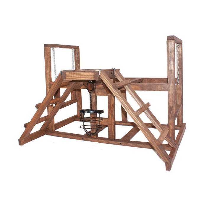 Coops & Feathers Chicken Activity Center