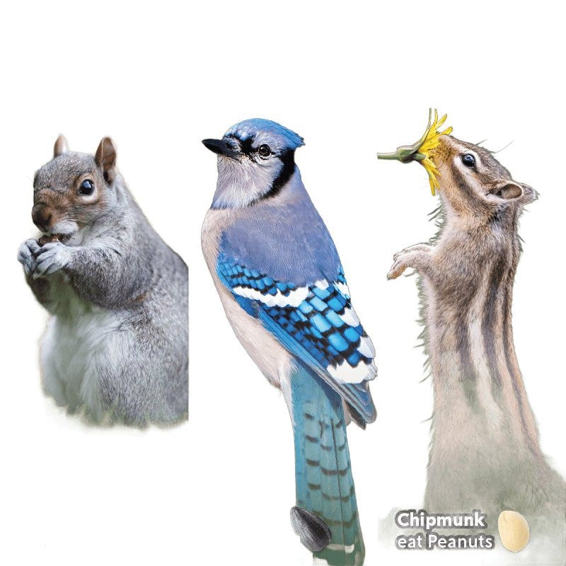 Feathered Friend Wild Bird Food, 10 lb Bag