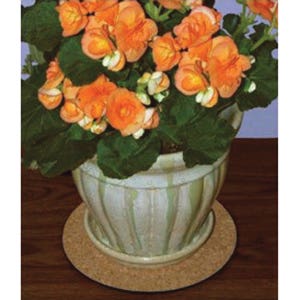 Curtis Wagner Plastics Plant Mat, 8 in Dia, Natural