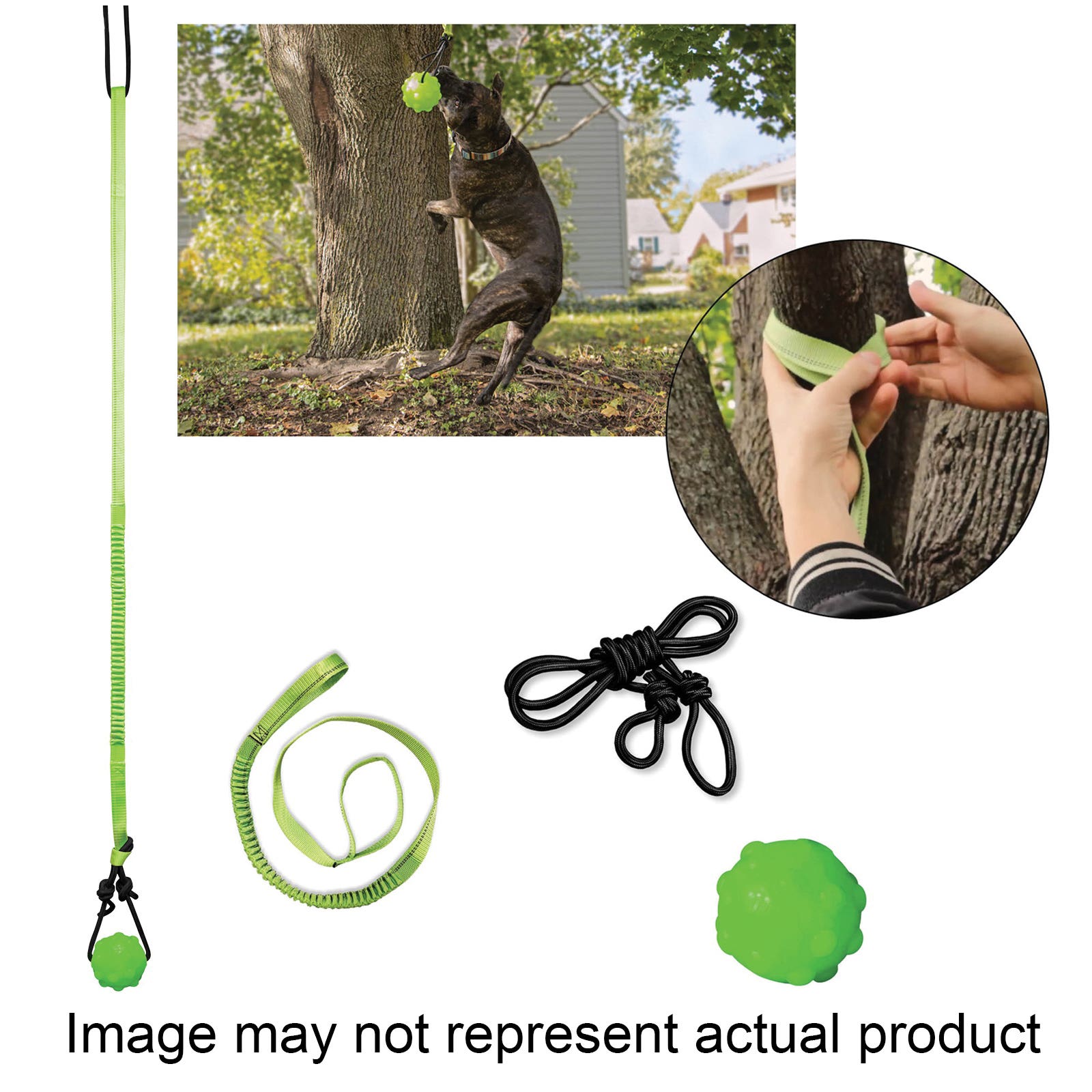 Jolly Pets TREE TUGGER Dog Toy, Tug, Nylon