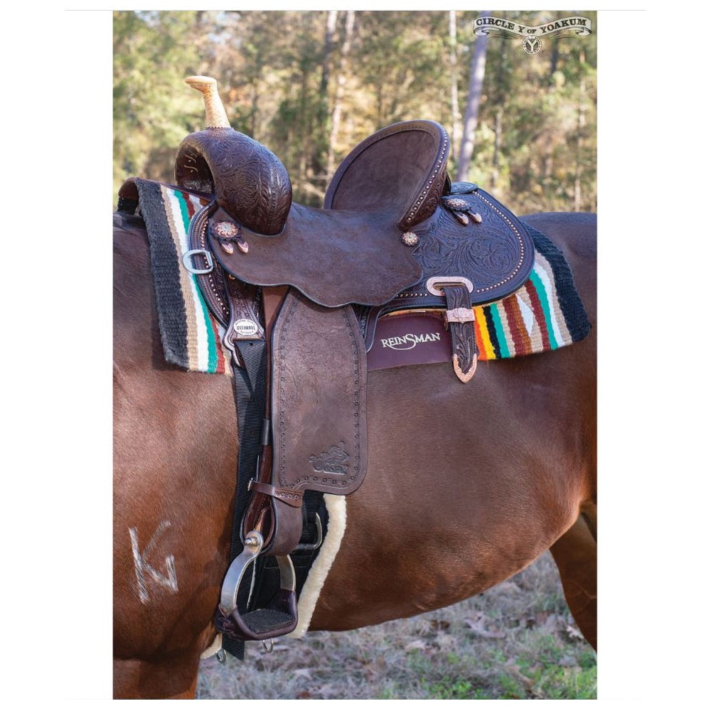 Circle Y Josey Ultimate Cash Series Chocolate Suede Saddle, 14 In., Wide