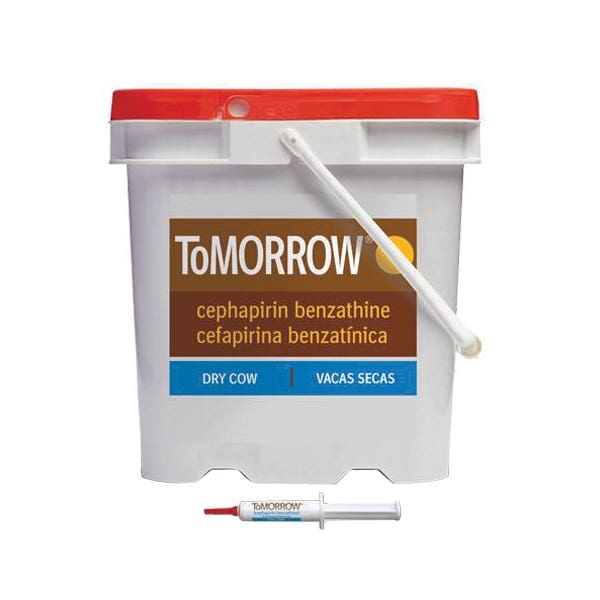Boehringer Ingelheim ToMORROW Mastitis Treatment (RX Only)