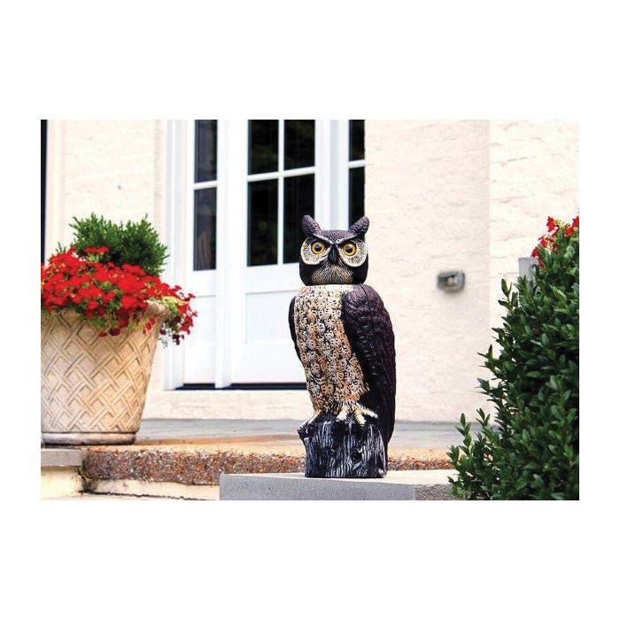 Dalen Natural Enemy Scarecrow, Rotating Head Owl, Repels: Birds, Rabbits, Raccoons, Squirrels