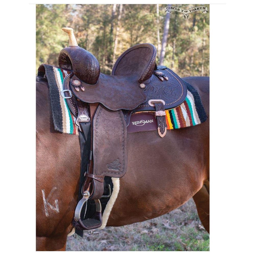 Circle Y Josey Ultimate Cash Series Hardseat Chocolate Saddle, 14-1/2 In., Regular