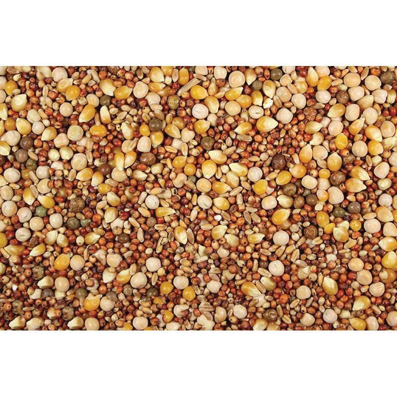 Leach Grain & Milling 46550 Bird Food, 50 lb