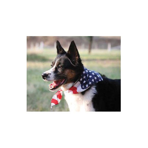 The Bandanna Co Bandanna, Cotton, Black Flag Paisley