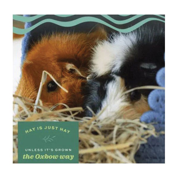 Oxbow Timothy Meadow Hay, 35 oz